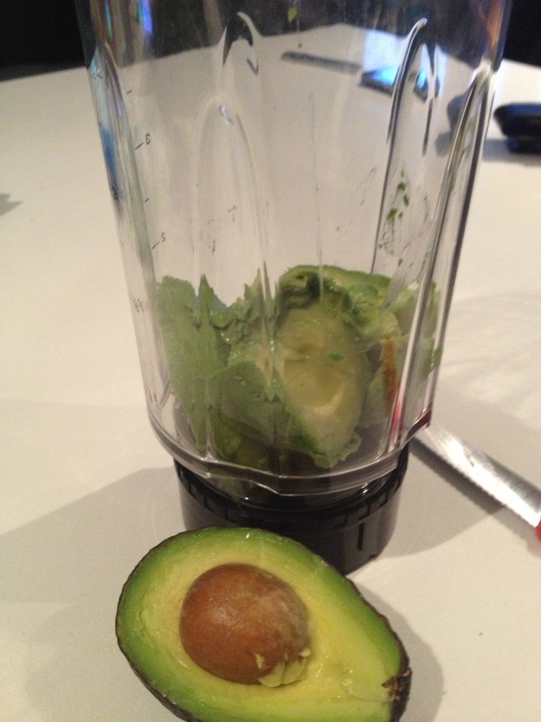 Avocado Blender Pudding