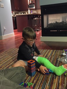 The lion sporting his leg cast.